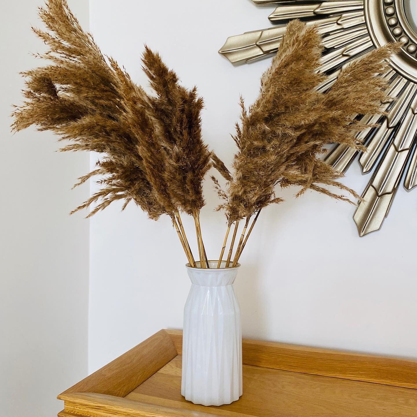 Feather Pampas Reed Grass large plumes stunning decorative Etsy