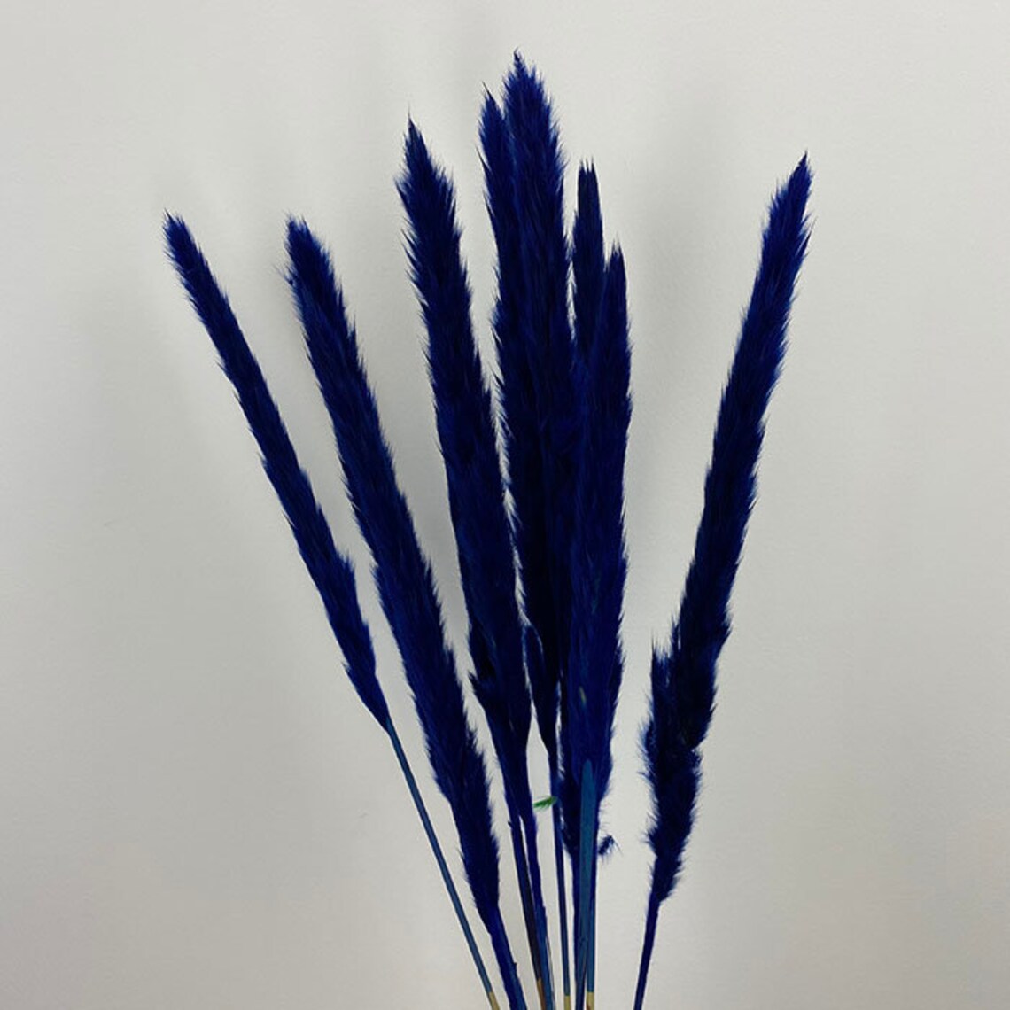 Navy blue fluffy pampas grass stunning decoration for a vase Etsy
