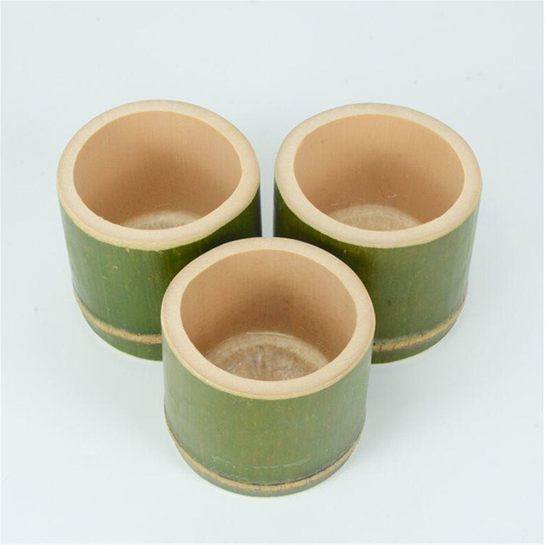 Bamboo Tube Fresh Bamboo Tube Soup Bamboo Tube Rice Vertical Etsy