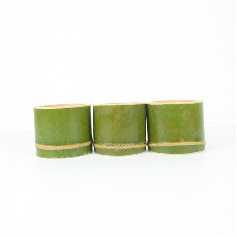 Bamboo Tube Fresh Bamboo Tube Soup Bamboo Tube Rice Vertical Etsy