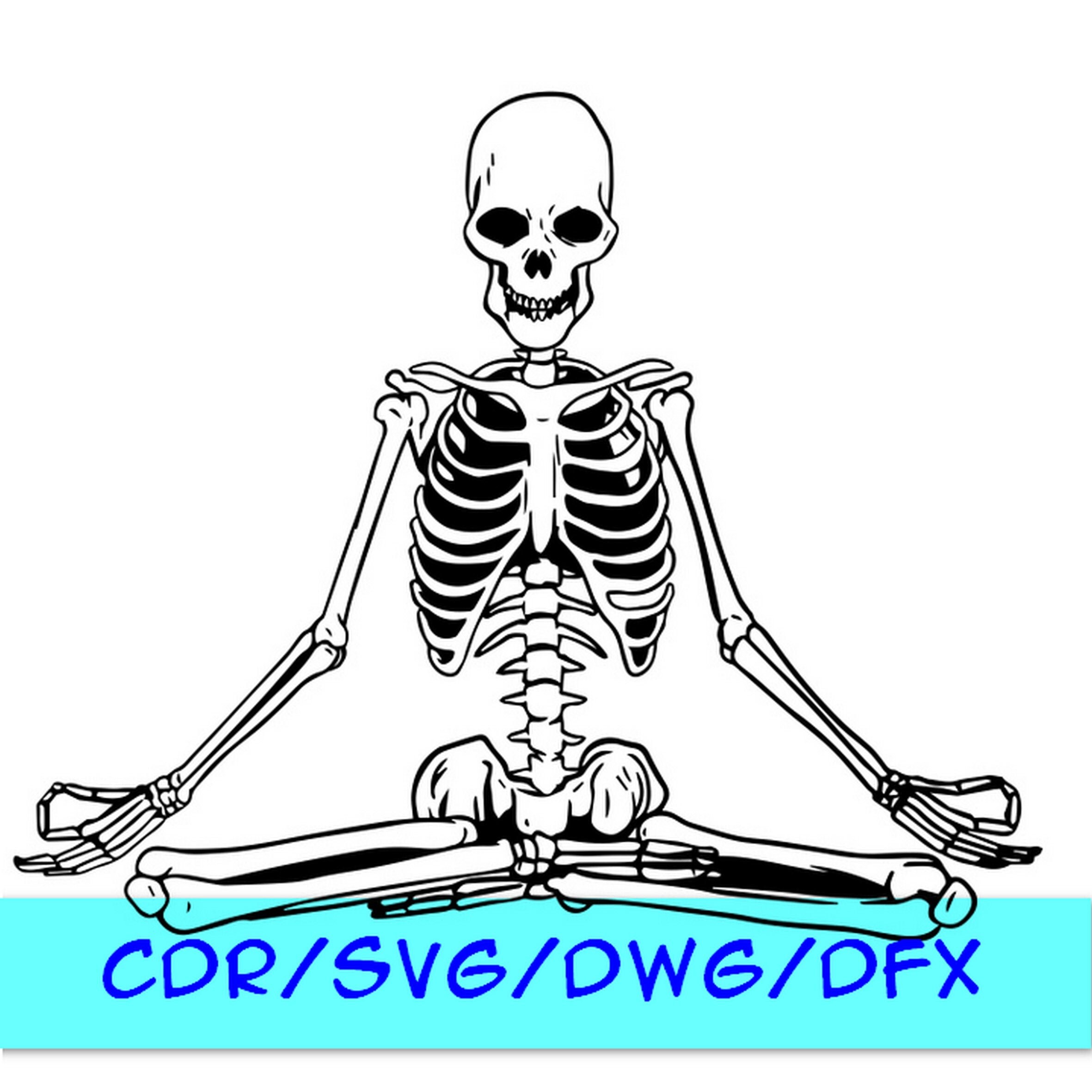 Skeleton svgskeleton clipartskeleton sketch Etsy