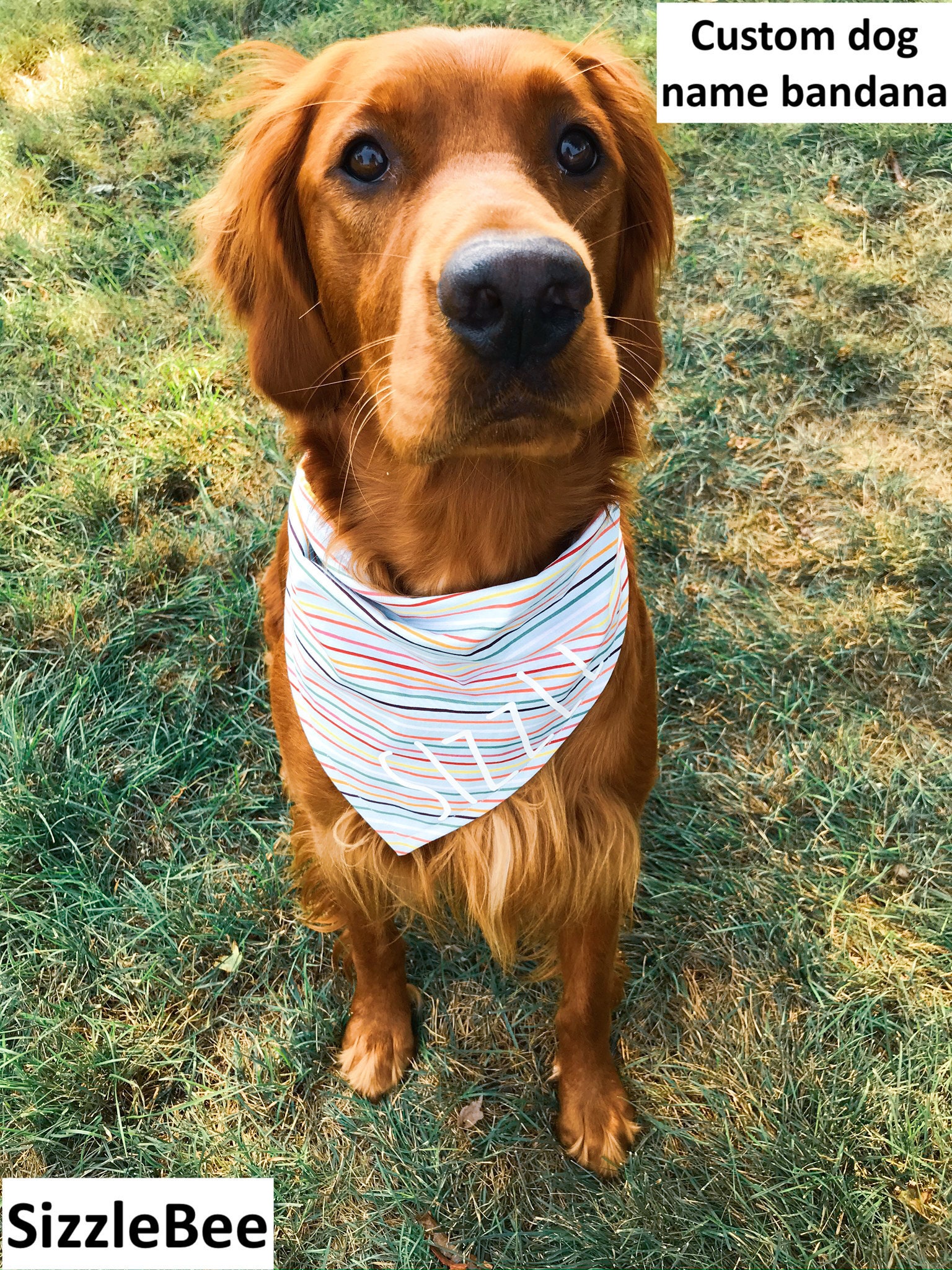 Dog bandana name custom adjustable and reversible Etsy