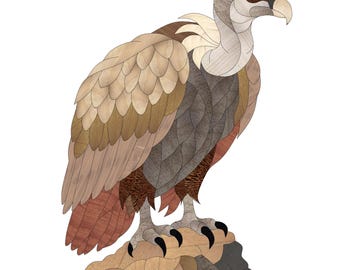 Vulture Intarsia Pattern, Majestic Bird of Prey Wood Art PDF, Wildlife Decor Digital Download