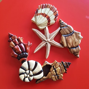 May include: Five intricately carved wooden seashells in various shades of brown, red, and white. The shells are arranged in a circular pattern on a red background.