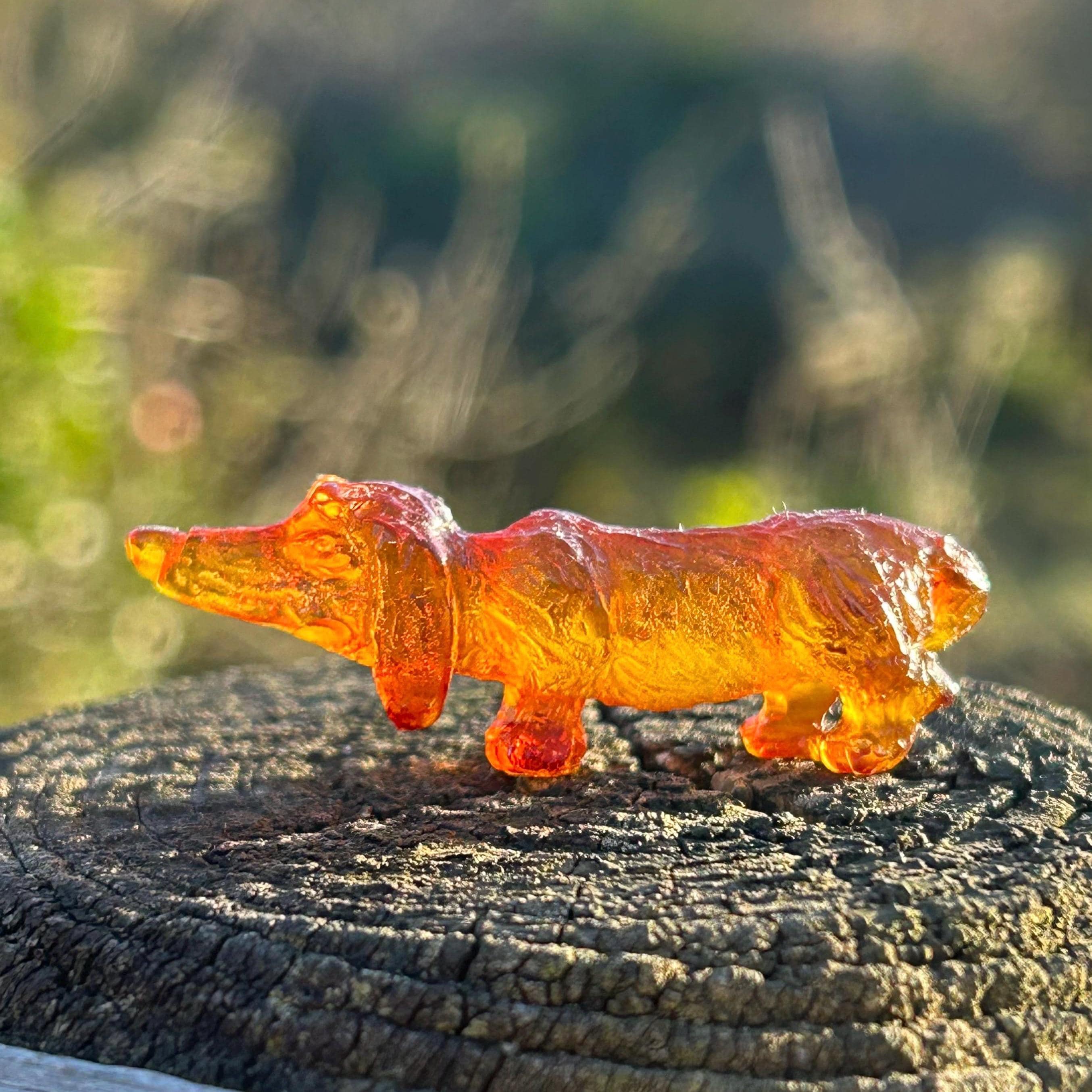 Swarovski Dachshund - Etsy Canada
