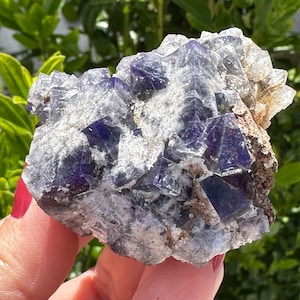 Yum Yum Pocket Fluorite - Etsy