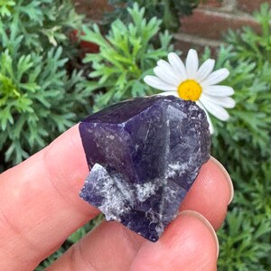 Yum Yum Pocket Fluorite - Etsy