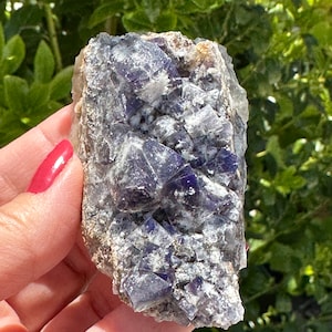 イギリス　Sherry Twins pocket Sherry Twins Pocket - Etsy