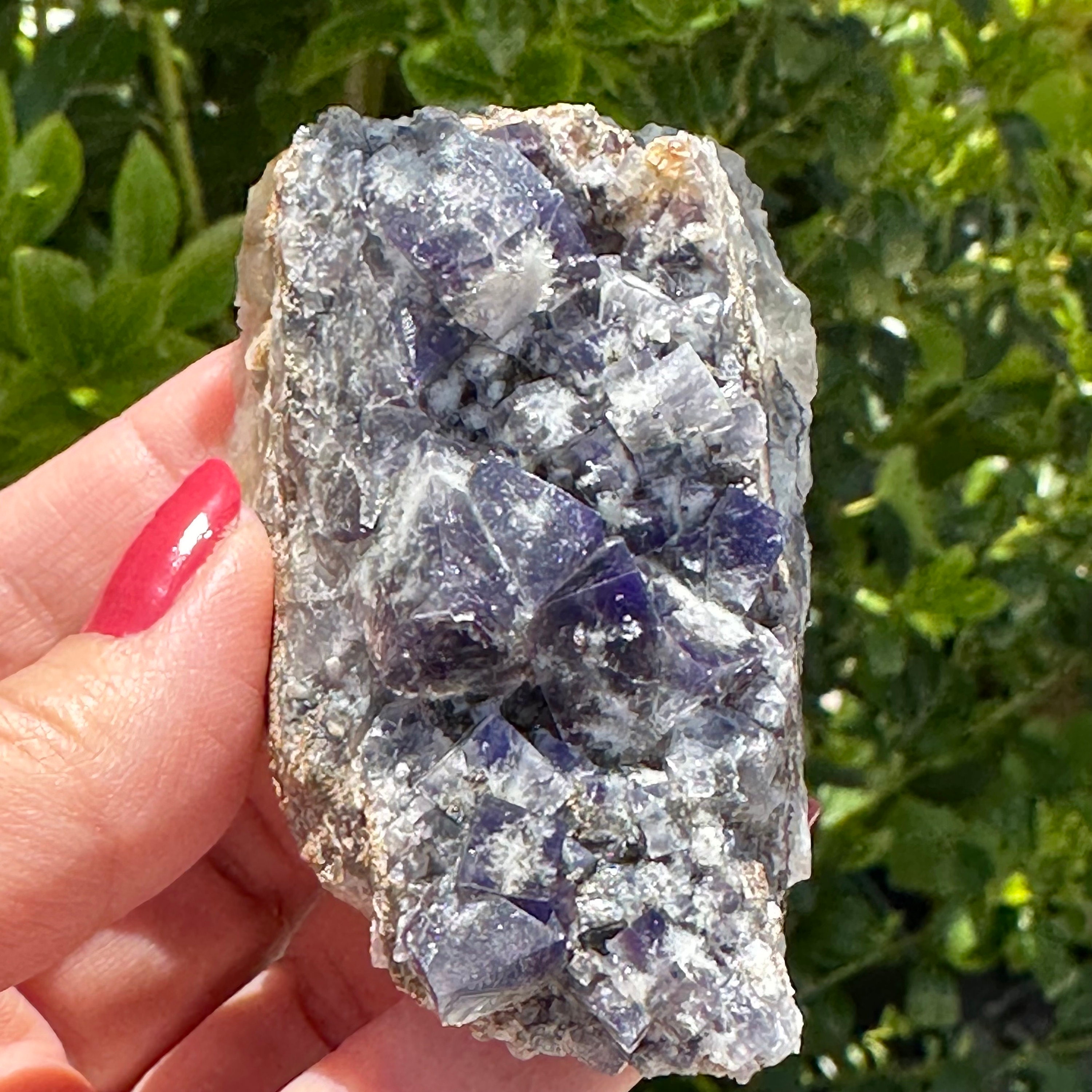 Sherry Twins Pocket - Etsy UK