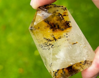 ブラジル ミナスジェライス州産 成長干渉ゴールデンヒーラー ブラジル ミナスジェライス州産 成長干渉ゴールデンヒーラー