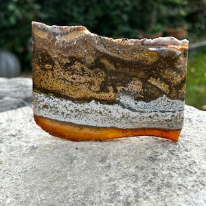 Fabulous River Jasper Slab, polished slice from Indonesia . Chalcedony, quartz