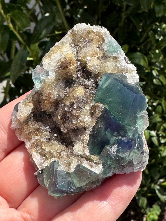 イングリッシュ フローライト - ノーザン ライツ ポケット、リバー