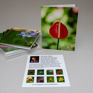 Carte de vœux de photographie - Collection de fleurs délicates, Cartes de notes vierges, Pack de 8 cartes