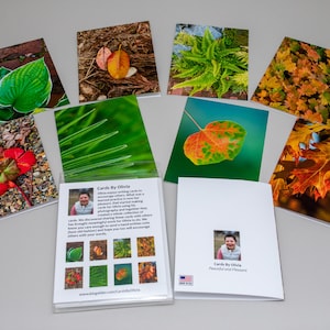Carte de vœux de photographie - Belle collection de feuilles, cartes de notes vierges, pack de 8 cartes