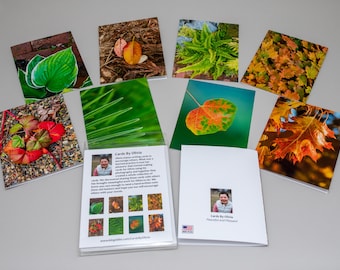 Photography Greeting Card - Beautiful Leaf Collection, Blank Note Cards, 8-card Pack