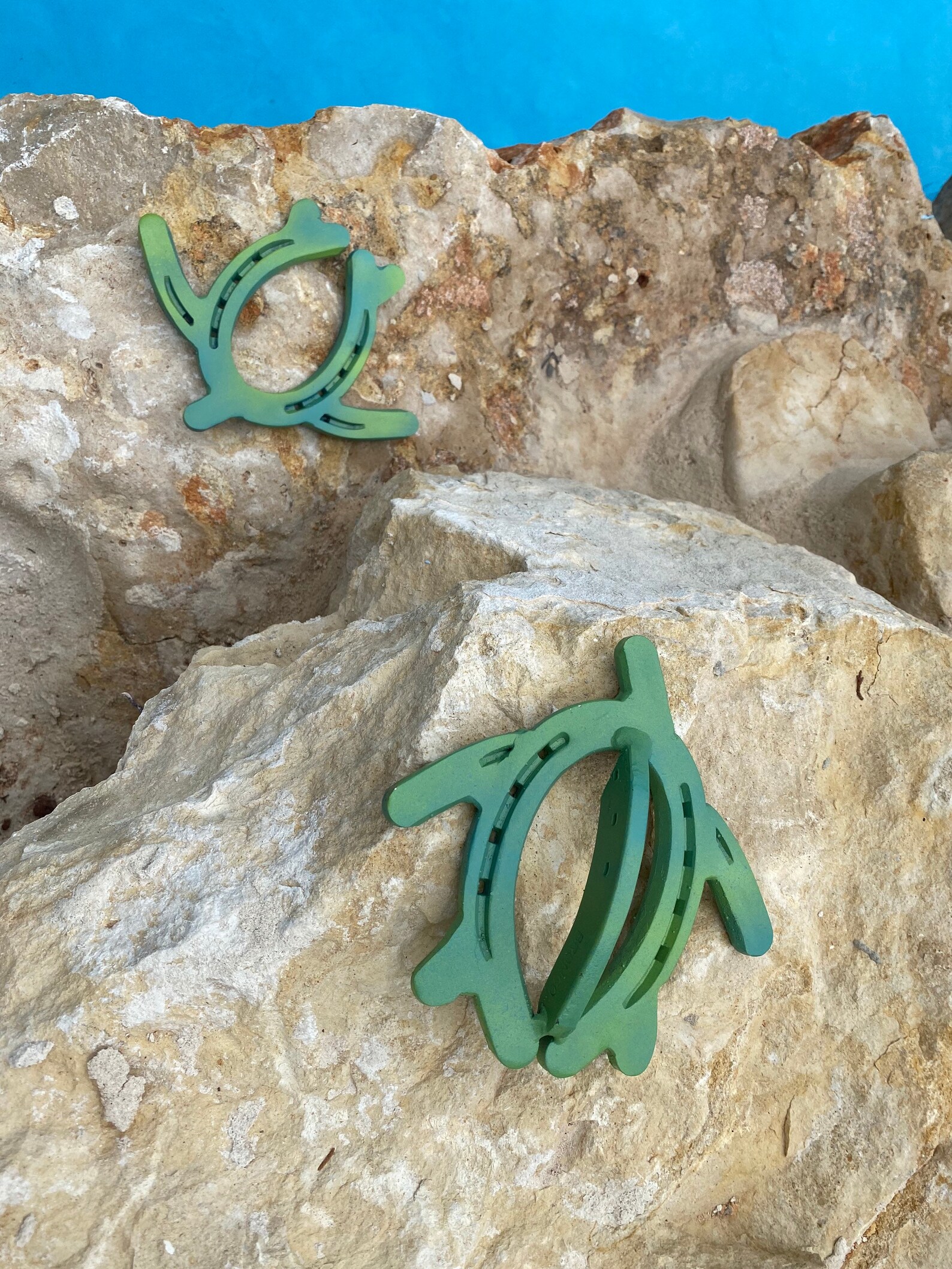 Horseshoe Sea Turtle Etsy