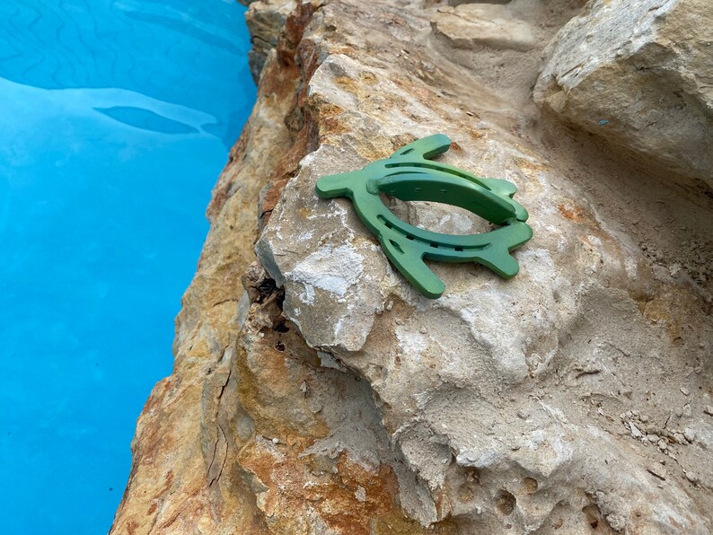 Horseshoe Sea Turtle Etsy