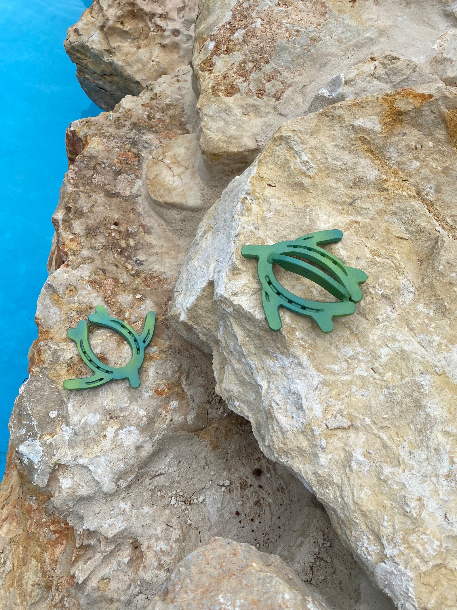 Horseshoe Sea Turtle Etsy