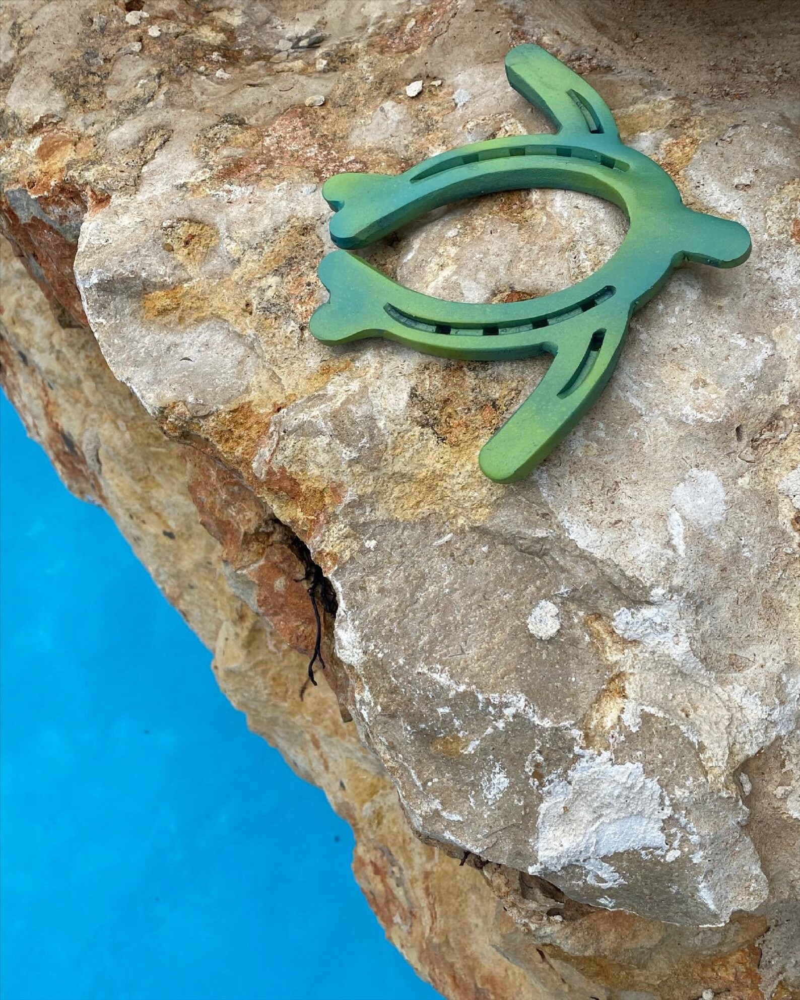 Horseshoe Sea Turtle Etsy