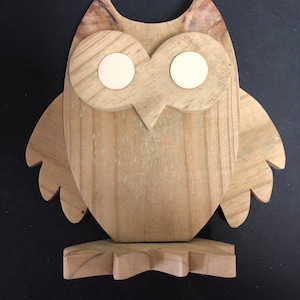 Owl - DIY Craft Kit - Wood