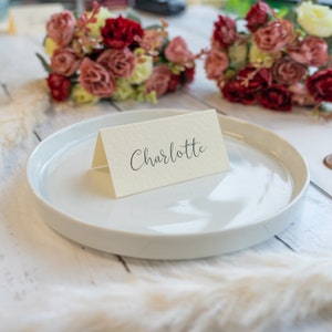 Tarjetas de lugar de marfil, tarjetas de nombre con textura martillada, ajustes de lugar, tarjetas de nombre de boda, tarjetas de lugar de boda, asientos para invitados, calidad premium