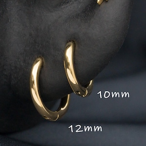 Boucles d'oreilles en acier chirurgical 16G 316L / Anneaux Tragus Daith pour cartilage de conque hélicoïdale / Anneaux pour le nez / Anneaux Tragus / Septum / Anneaux sans couture(1)
