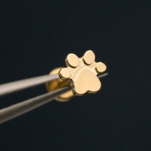 Titanium Dog Paw Stud / 16g 18g 20g Threadless Push Pin / Tragus Cartilage Helix Conch Piercing Stud / Nose / Hypoallergenic / Medusa(19)