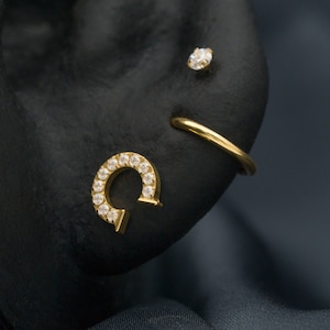 Titanium Horseshoe Stud / 16g 18g 20g Threadless Push Pin / Tragus Cartilage Helix Conch Piercing Stud / Nose / Hypoallergenic / Medusa(1)