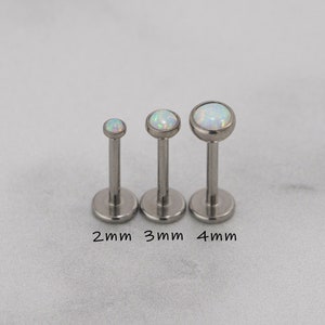 IMPLANT GRADE Titanium Tiny White Opal Threadless Push Pin Stud / Bezel Round 2mm 3mm 4mm Tragus Cartilage / Steel Color image 2