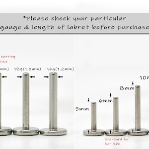 May include: A close-up of different sizes of labret posts in stainless steel. The posts are labelled with their gauge and length in millimetres. The text "Standard for Ear Lobe" is also visible.
