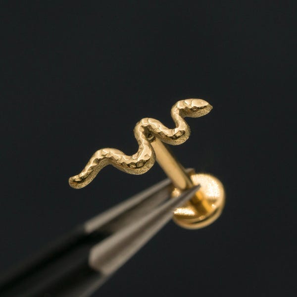 Tiny Snake Stud: Titanium Threadless Push Pin Earring