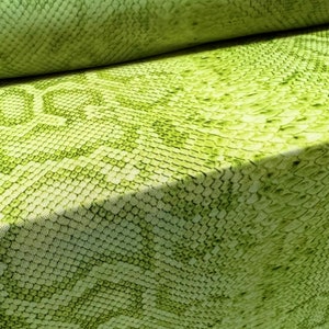 May include: Green fabric with a snakeskin pattern. The fabric is folded over, showing the pattern on both sides.