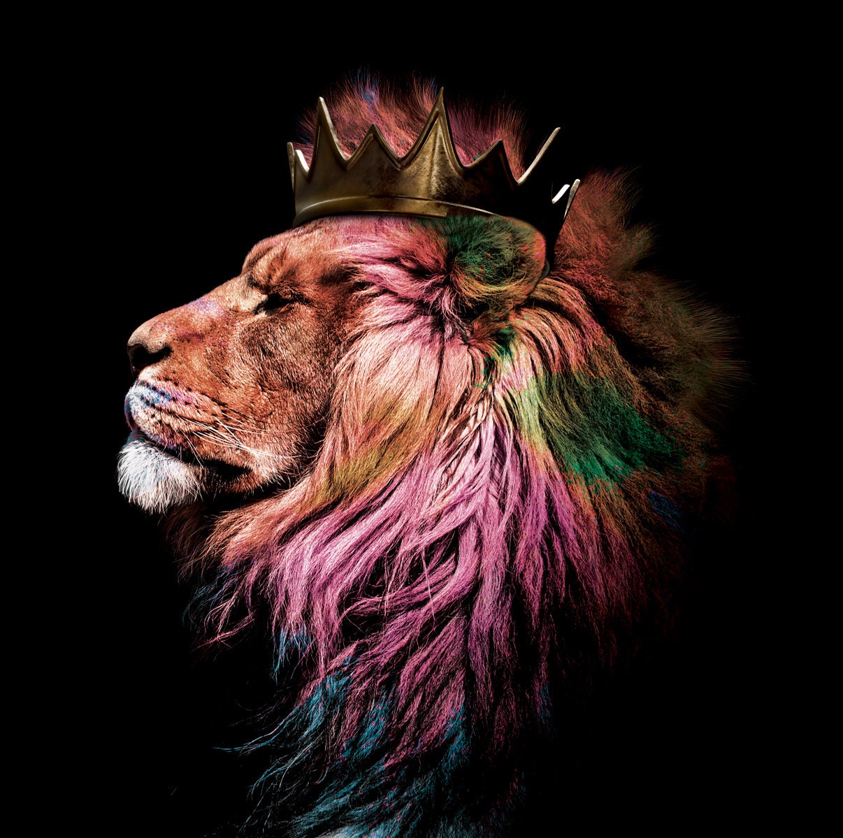 Lion King Colorspop Artwall Art Glass Printingmodern Home Decor