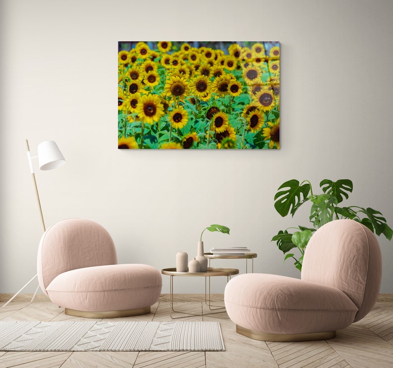Sunflower Field-wall Art Glass Printing-modern Home Decor Ideas Art ...