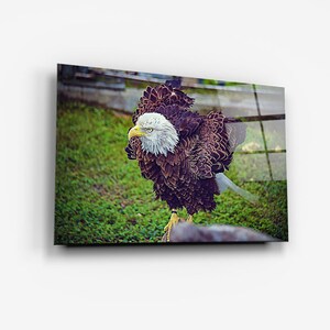 Amerikanischer Adler-Wandkunst Glasdruck-Moderne Wohnkultur Ideen Kunstglas für Ihr Haus-Tempered Glass Print Bild als Geschenkidee