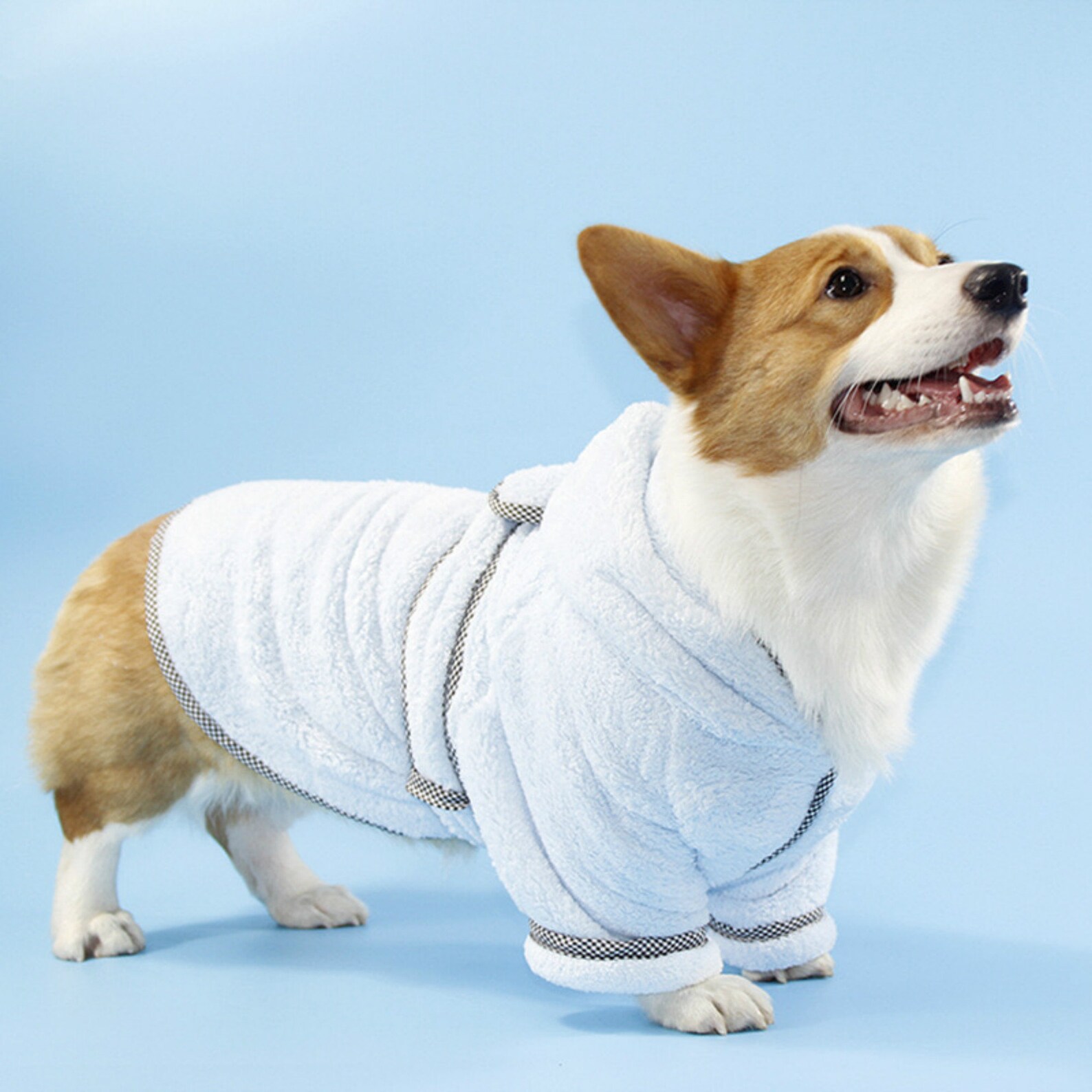 Personalization Aqua Blue Personalized Dog Bathrobe Absorbent Etsy