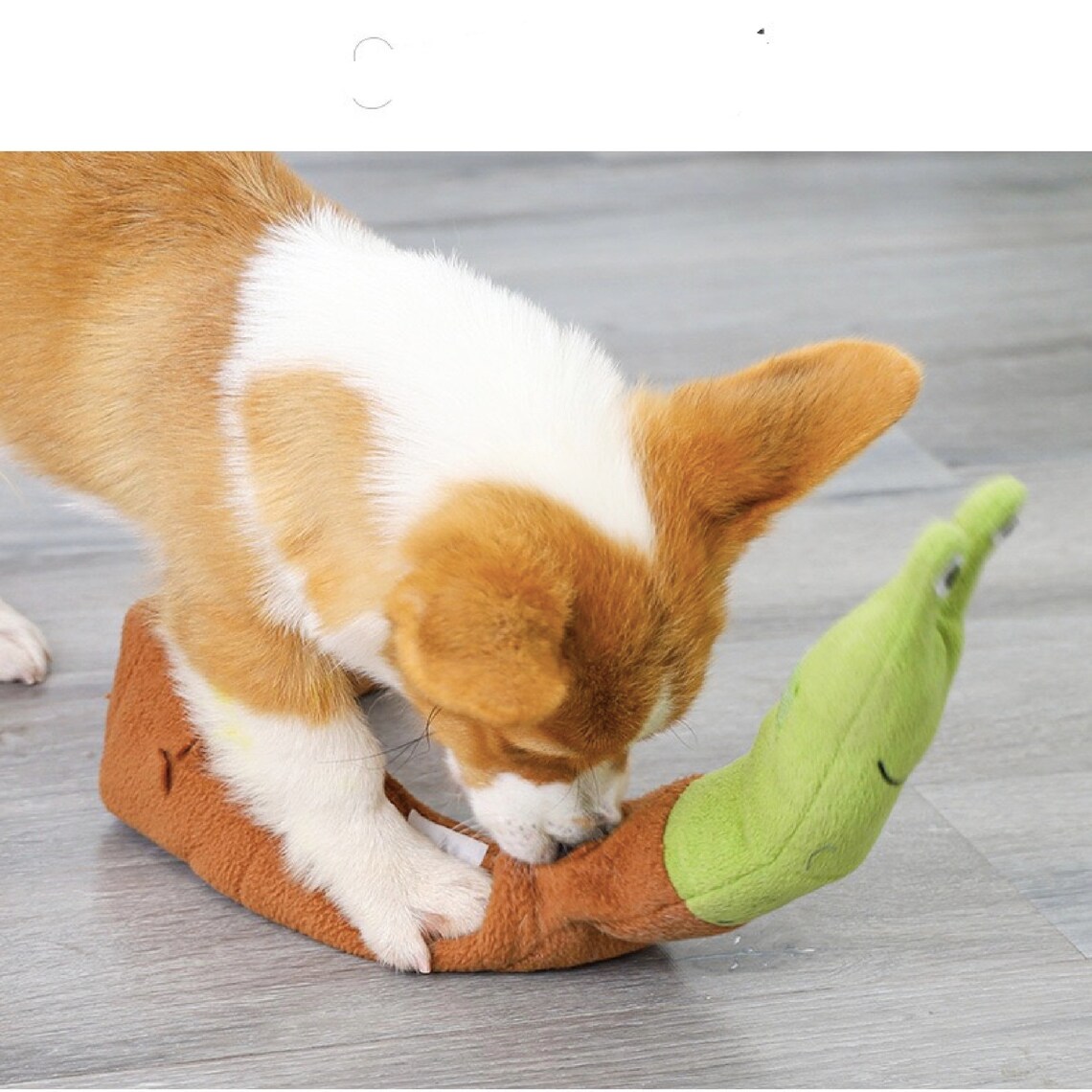 Interactive Dog Toy Snail Shape Plush Dog Puzzle Toy Squeaky Etsy