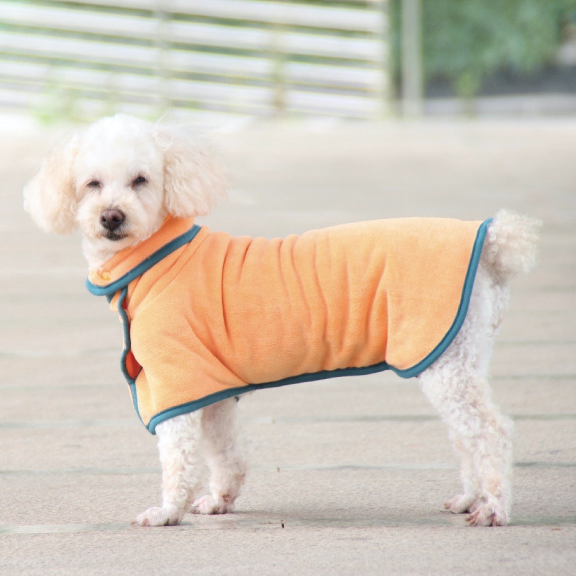 Personalized Dog Bath Robe Pet Drying Towel Dog Clothing Super Etsy