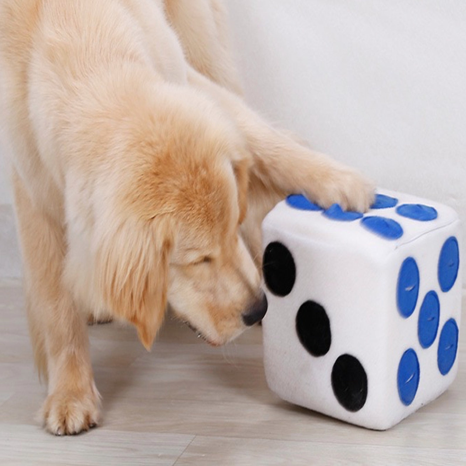 Snuffing Dog Toy Dice Shape Snack Food Training Plush Pet Toys Etsy