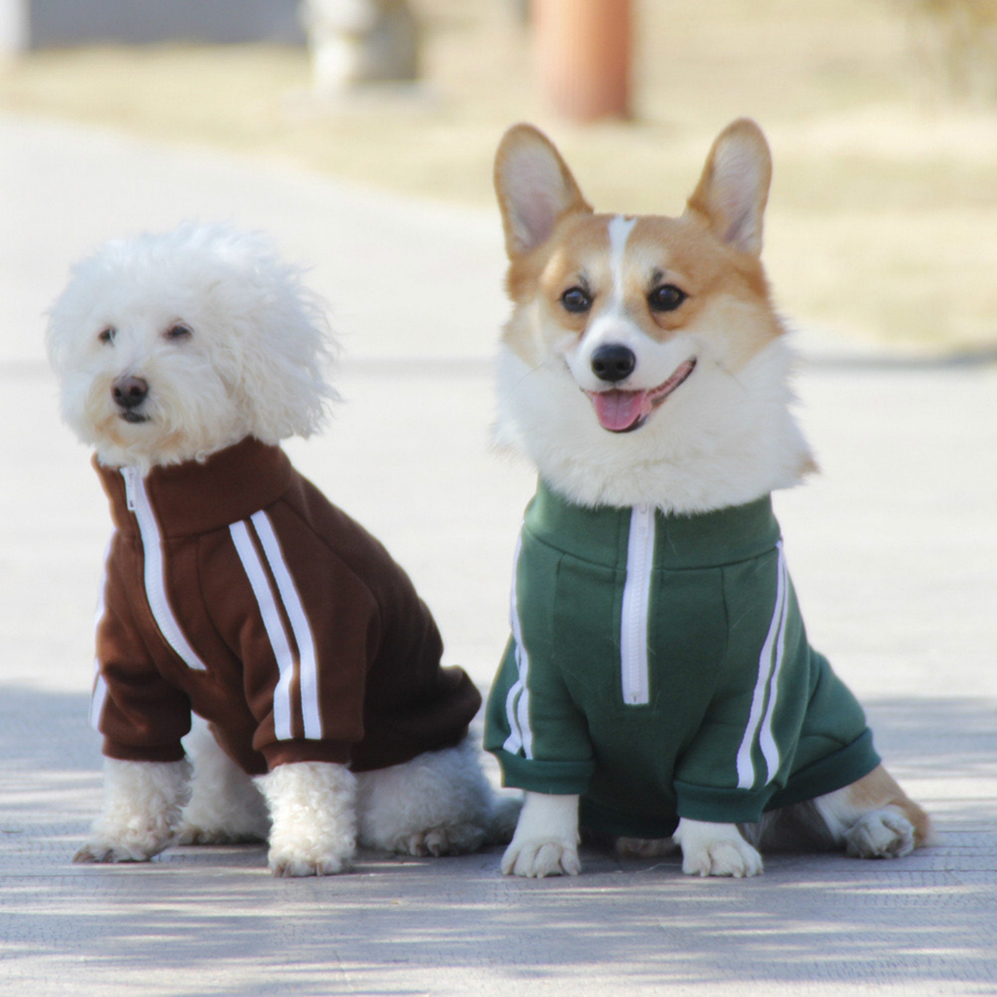 Personalized Sports Dog Cloth Sweater Dog Coat Dog Jacket For Etsy