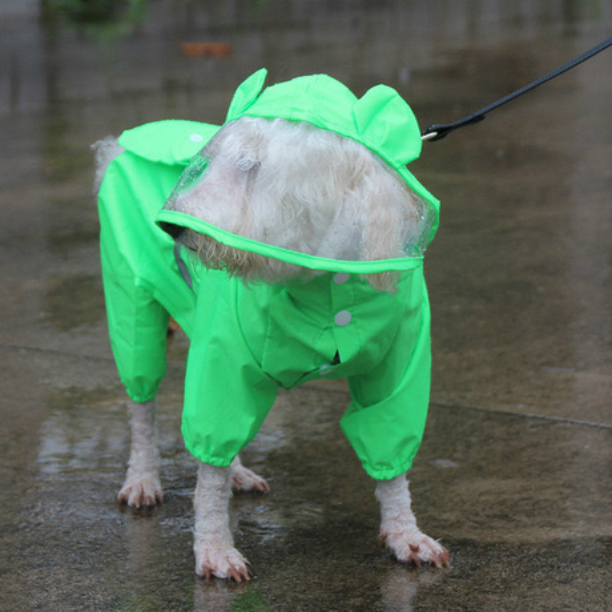 Pet Dog Rain Coat Green Hoodiewaterproof Dog Cloak Dog Etsy
