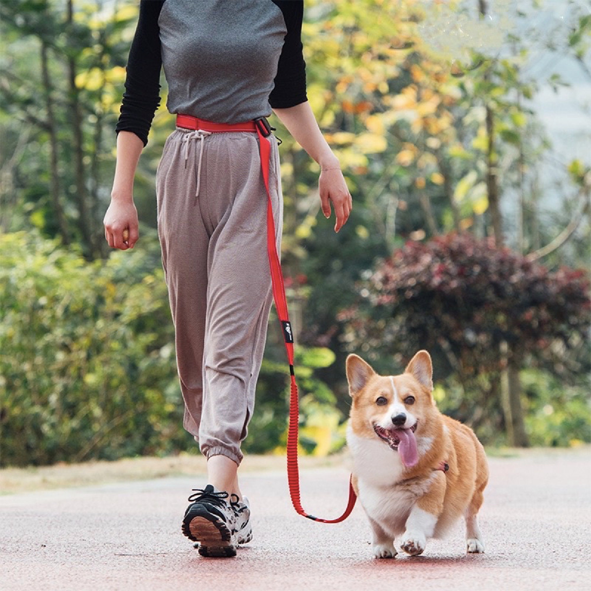 best multi dog leash