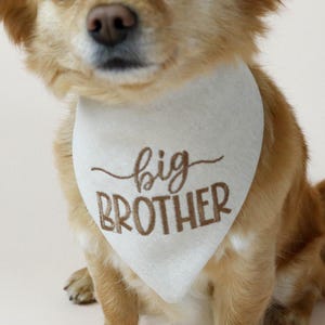 dog bandana - canoodle company