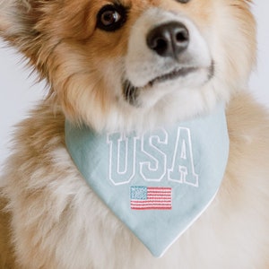 Patriotic Dog Bandana USA Olympics Varsity snap on bandanna Fourth of July dog accessory for 4th of July United states flag embroidered