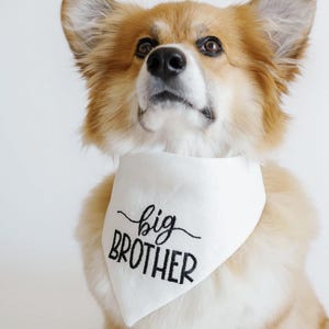 dog bandana - canoodle company