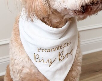 Big brother dog bandana Promoted to Big Bro Custom pregnancy announcement Embroidered dog soon to be big brother bandanna white Linen