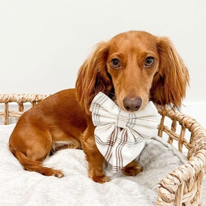 Dog collar with bow tie - nautical and boats – Juju + Nana