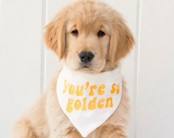 You're so golden embroidered dog bandana | summer dog bandana embroidery | retro text dog bandana Golden doodle mom gift dog mom present