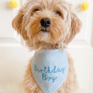 birthday dog bandana boy