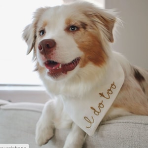 Yo también, pañuelo de boda para perro, pañuelo personalizado para perros, pañuelo bordado personalizado para anuncio de compromiso de perro, pañuelo de boda personalizado para perro